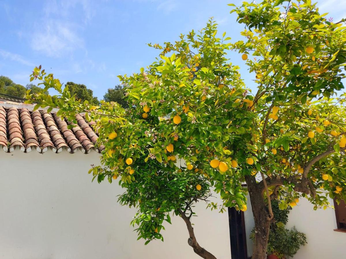 Вилла Casa El Patio Del Limon, Con Piscina Монтекорто Экстерьер фото